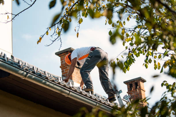 Best Flat Roof Repair Services  in Guthrie Center, IA
