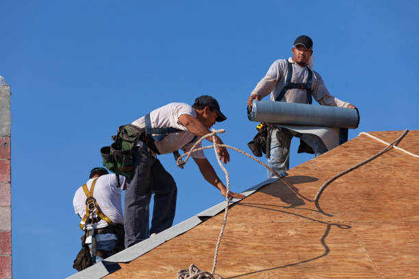 Best Storm Damage Roof Repair  in Guthrie Center, IA